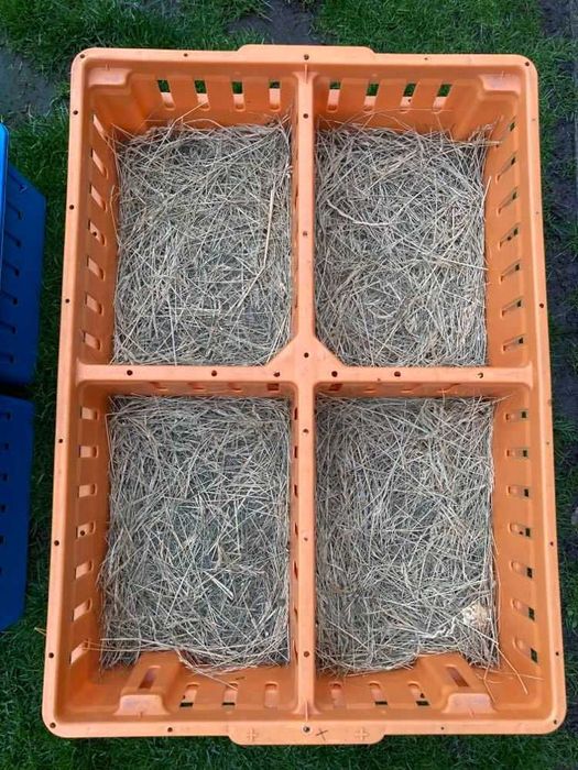 Skrzynki do transportu drobiu, piskląt