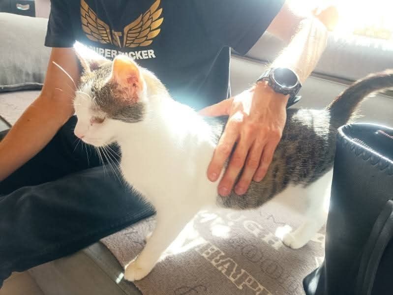 Czy możemy liczyć na cud?..