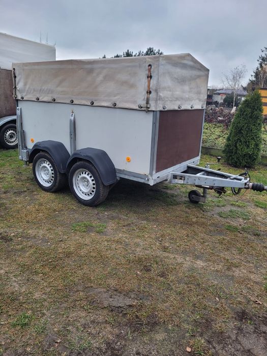 Przyczepka samochodowa Westfalia