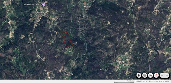 Terreno com Pinhal, Mato e Pastagem com muita água 13,7 ha (137.000 m) — Paradinha E Nagosa, Viseu