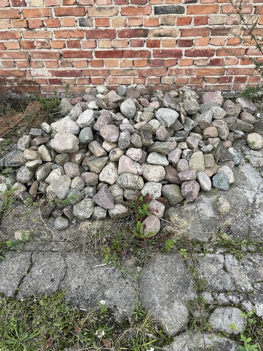 Oddam kamienie polne za darmo