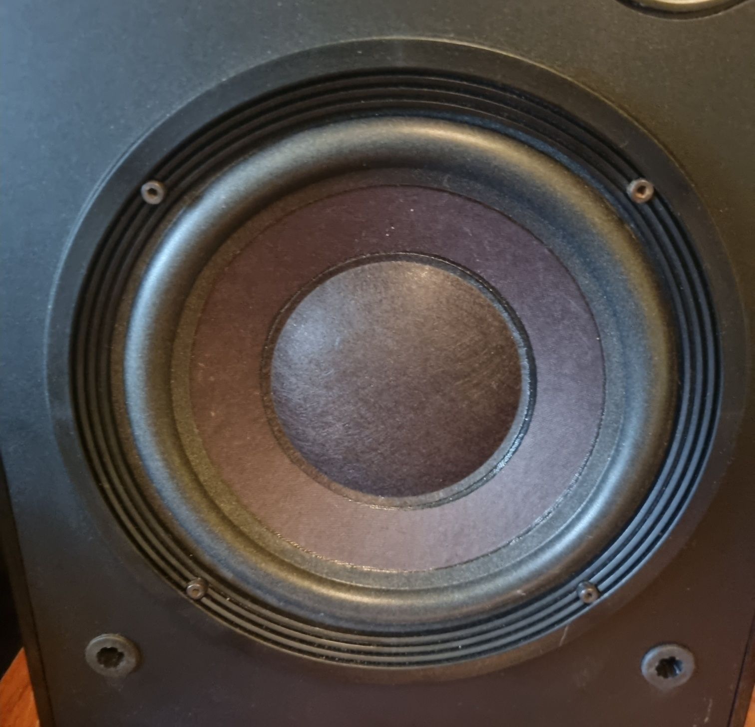 Kolumny Bose interaudio 3000 xl