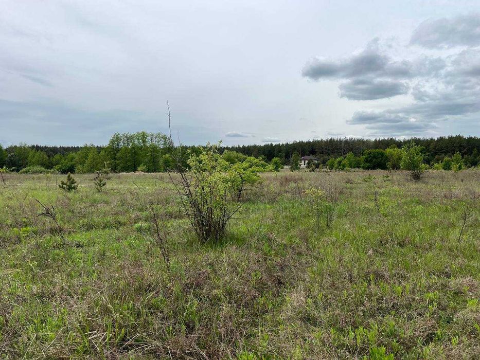 Продаж ділянки 41сот під забудову. Світло-200м. Ліс. Озеро. ID:421-426
