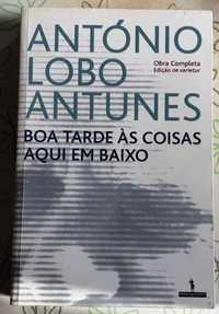 Boa Tarde às Coisas Aqui em Baixo - António Lobo Antunes