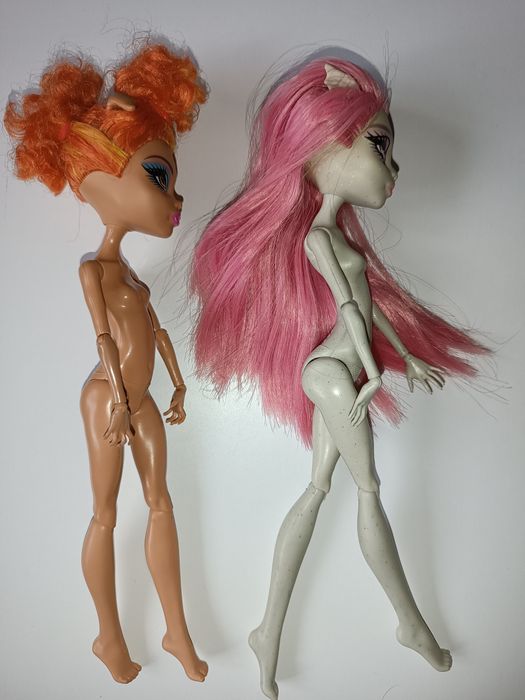 Монстер хай Хоулін база, Рошель ніч монстрів Monster high