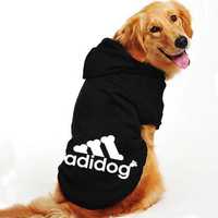 Bluza Adidog dla psa