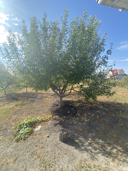 Продаж будинку з новим ремонтом