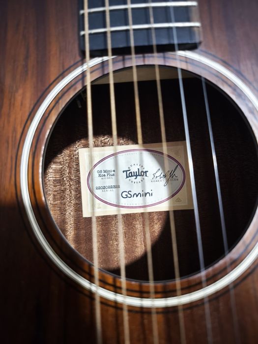 Taylor GS Mini-e Koa Plus
