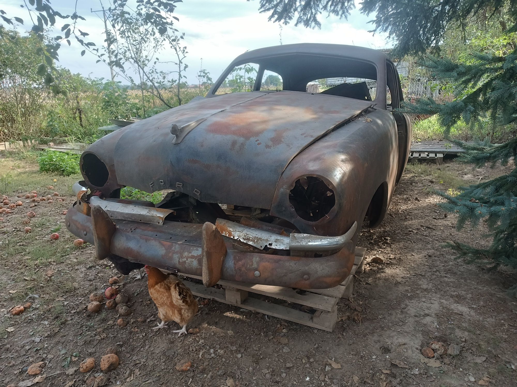 Ford Shoebox,Foose
