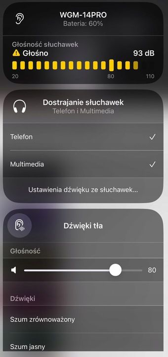 Słuchawki Bezprzewodowe Wodoodporne Sportowe Dwa Mikrofony Wgm 14 Pro