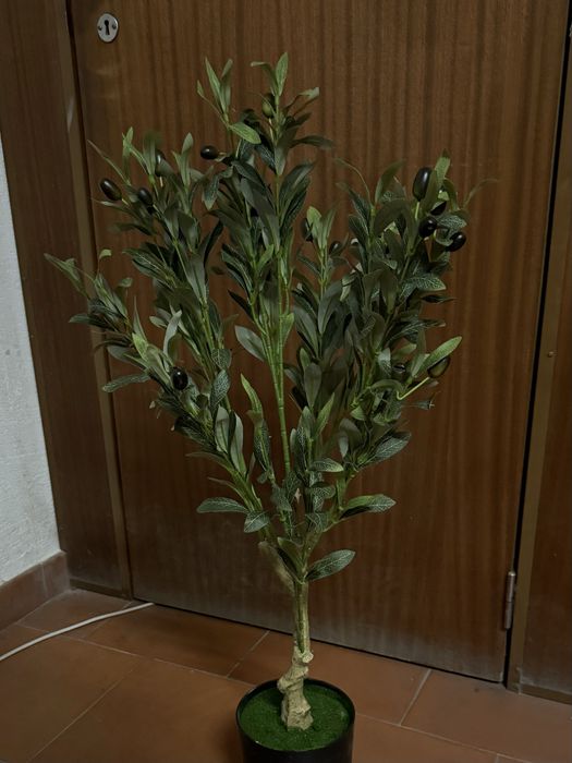 planta de oliveira artificial lindissima para decoração