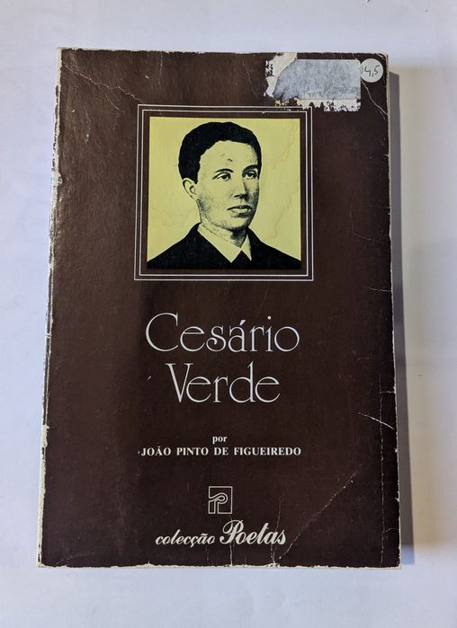 Livros baratos. Autores Portugueses.