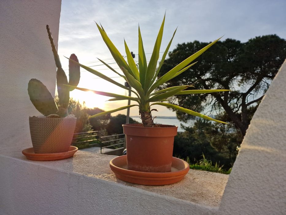 Pequeno estúdio T0 c/ terraço privado. 2 pessoas Máximo.