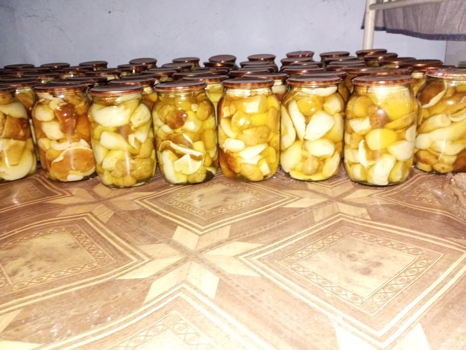 ПродамГриби, збирані 2025 року !!