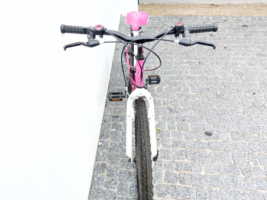 Bicicleta roda 24