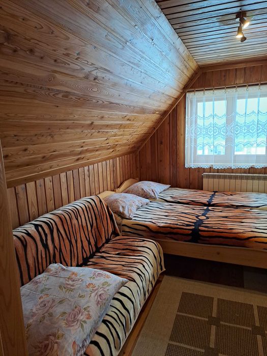 Noclegi w Białce Tatrzańskiej