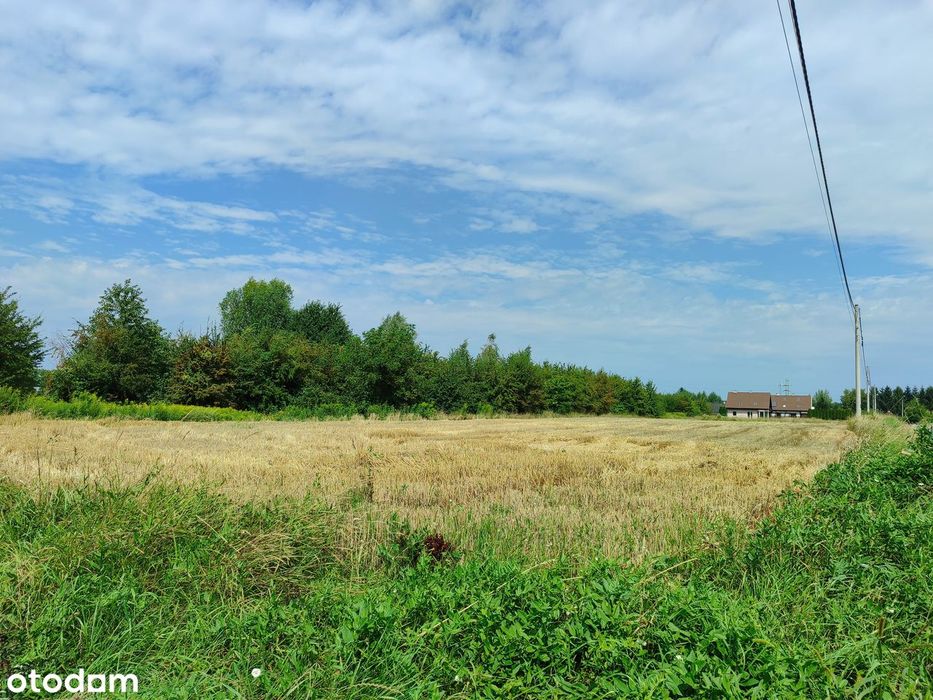 Działka 10a na sprzedaż - świetna lokalizacja.