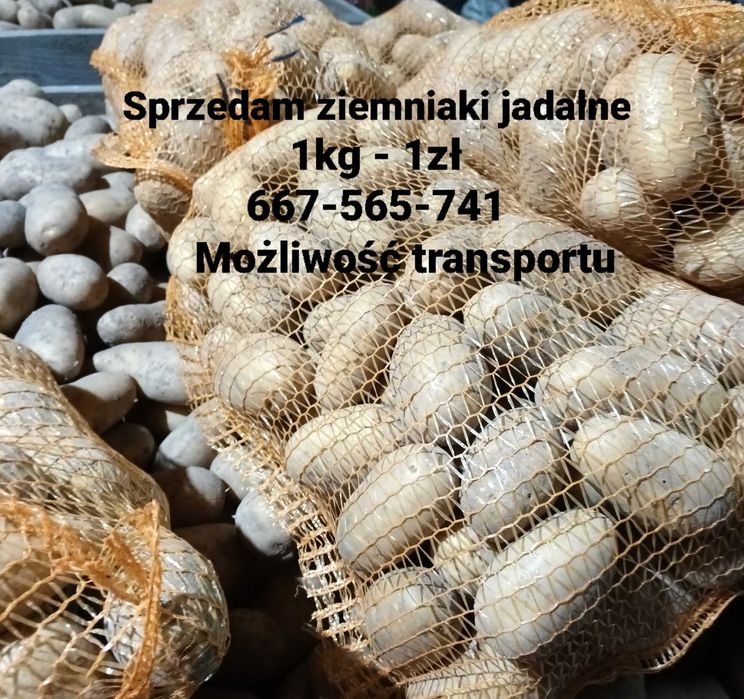 Ziemniaki jadalne Queen Anna  smaczne! Duże ilości