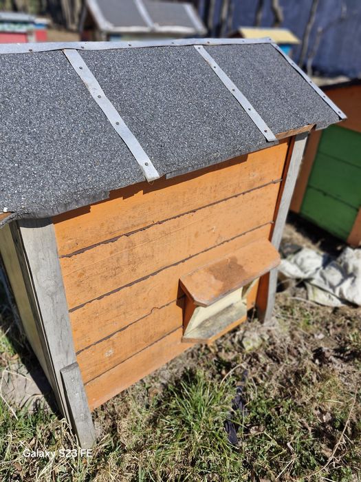 Ule warszawskie ,dadant