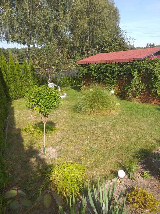 Sprzedam działkę ROD