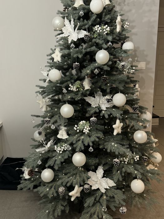 12 galazek bualej jarzebiny