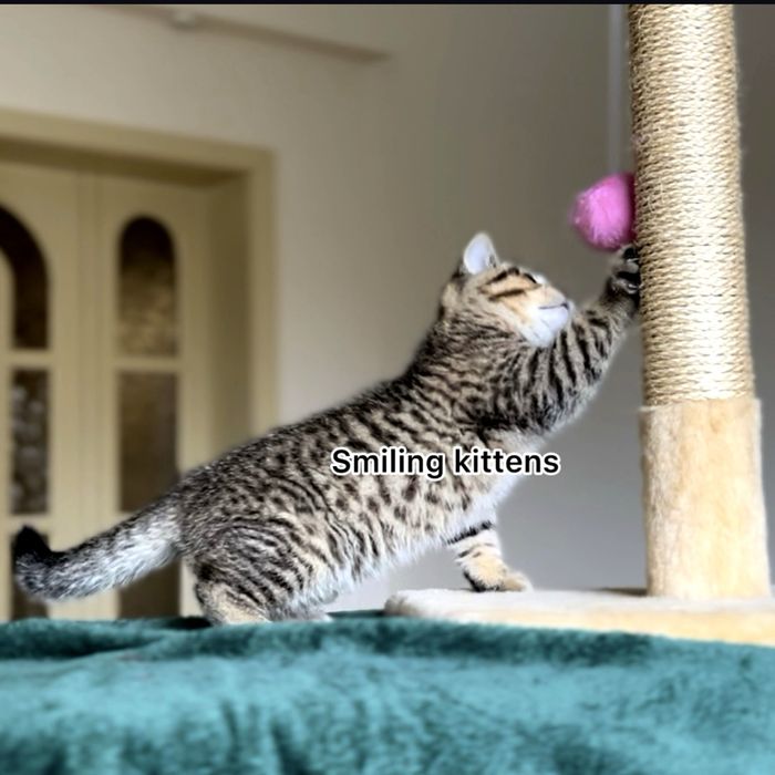 Малюки з красивими візерунками