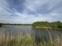 Хутор Ясный участок с прямым выходом на воду