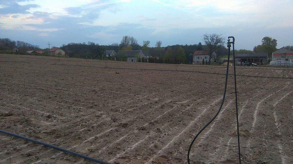 HODOWLA ŚLIMAKÓW Sterowniki do sterowania temperaturą w pomieszczenia