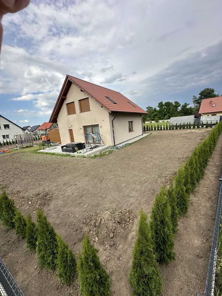 Tuja szmaragd ogrodzenie sadzenia żywopłot transport