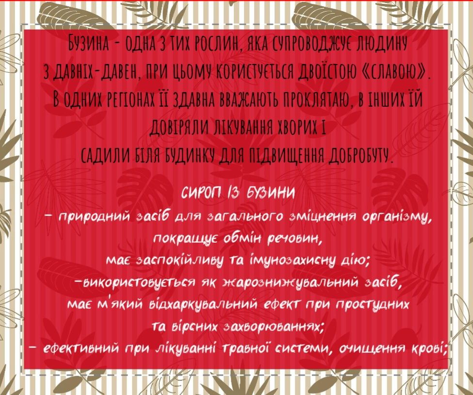 Сиропи - малина, хвоя, м'ята, бузина, чорниця, брусниця