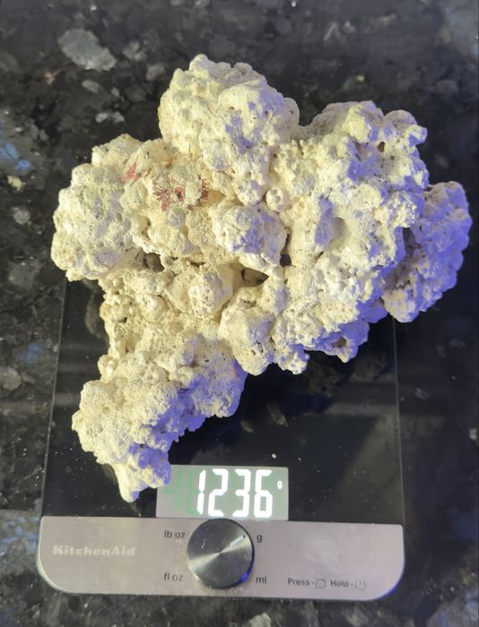 Sucha skała do akwarium morskiego