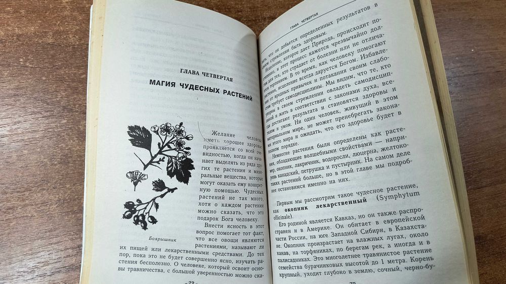 Магические травы (Твичелл Пол)