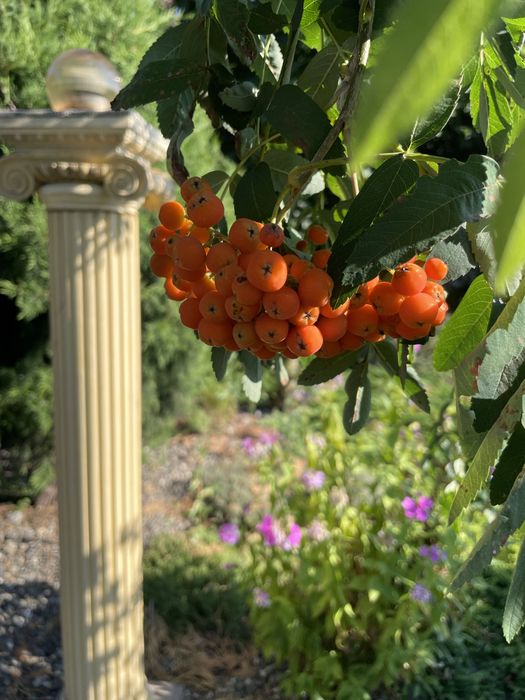 Колони з гіпсу для декору