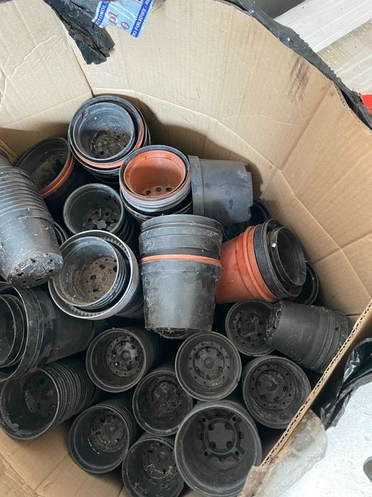 Sprzedam doniczki kwadratowe przemysłowe P 9: 05 litra pojemności.