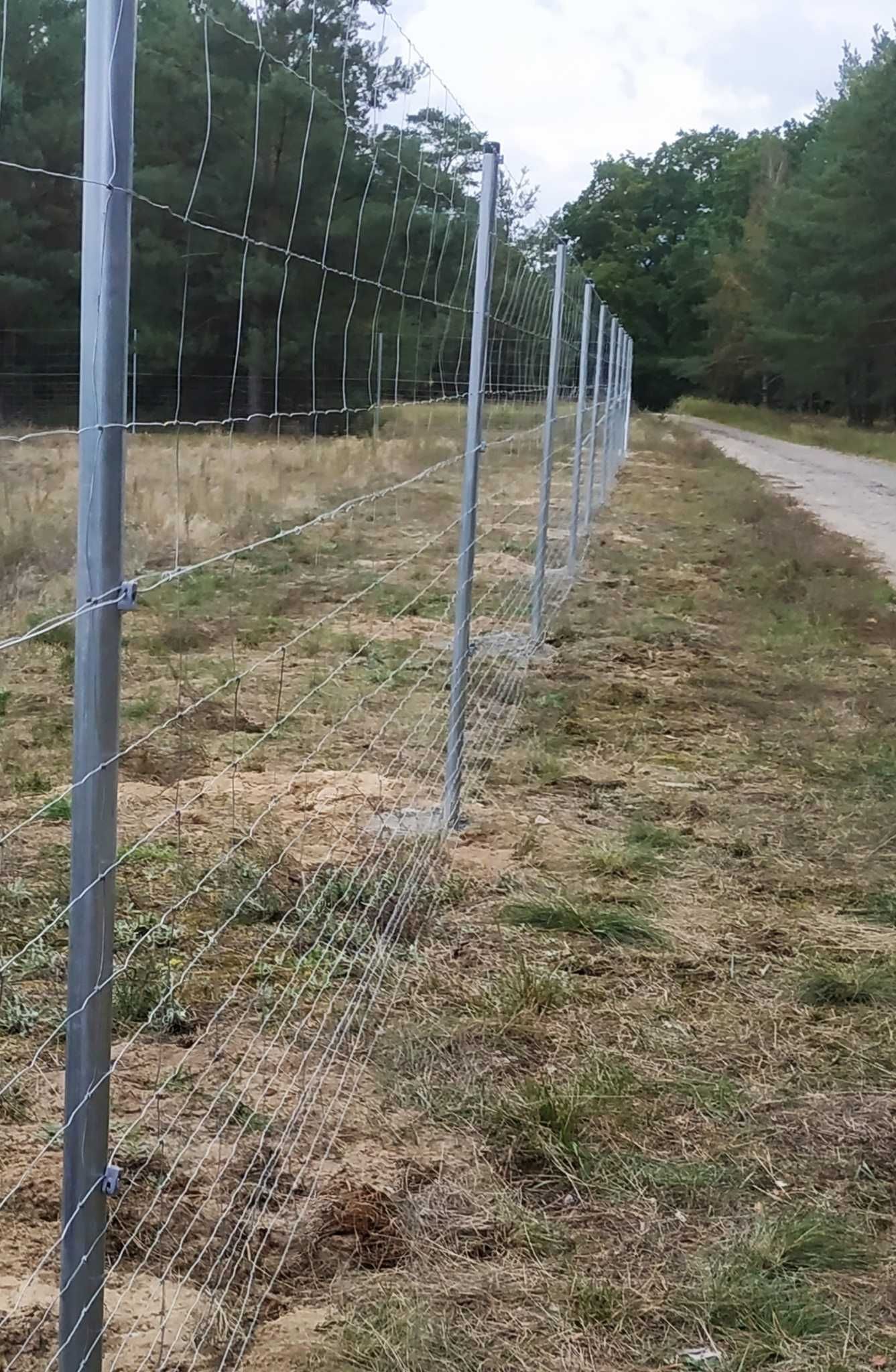 Siatka leśna 150/10/30 ocynkowana autostradowa budowlana na dzik ASF