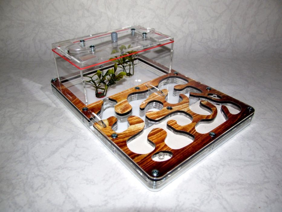 Муравьиная ферма (формикарий) «Anthouse» "дерево" + муравьи-жнецы