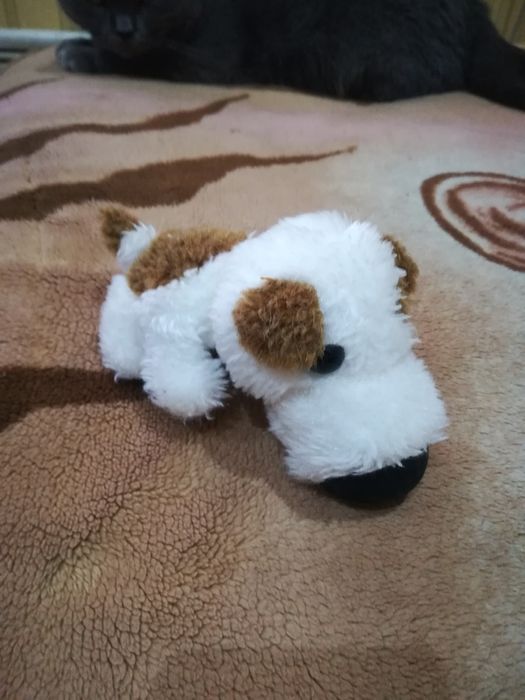 Продам dog collection