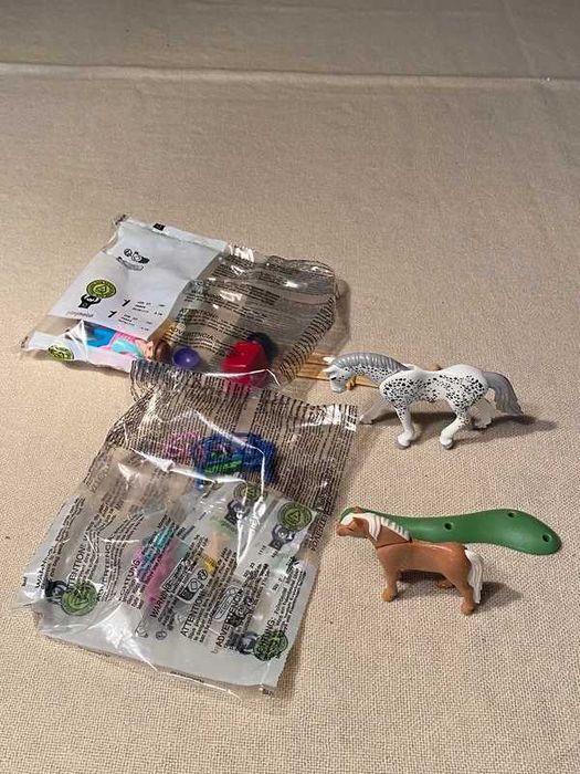 Playmobil Country 71259 - Trening Kucyka D01