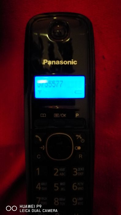 Радиотелефон пара Panasonic KX-TG1612UA