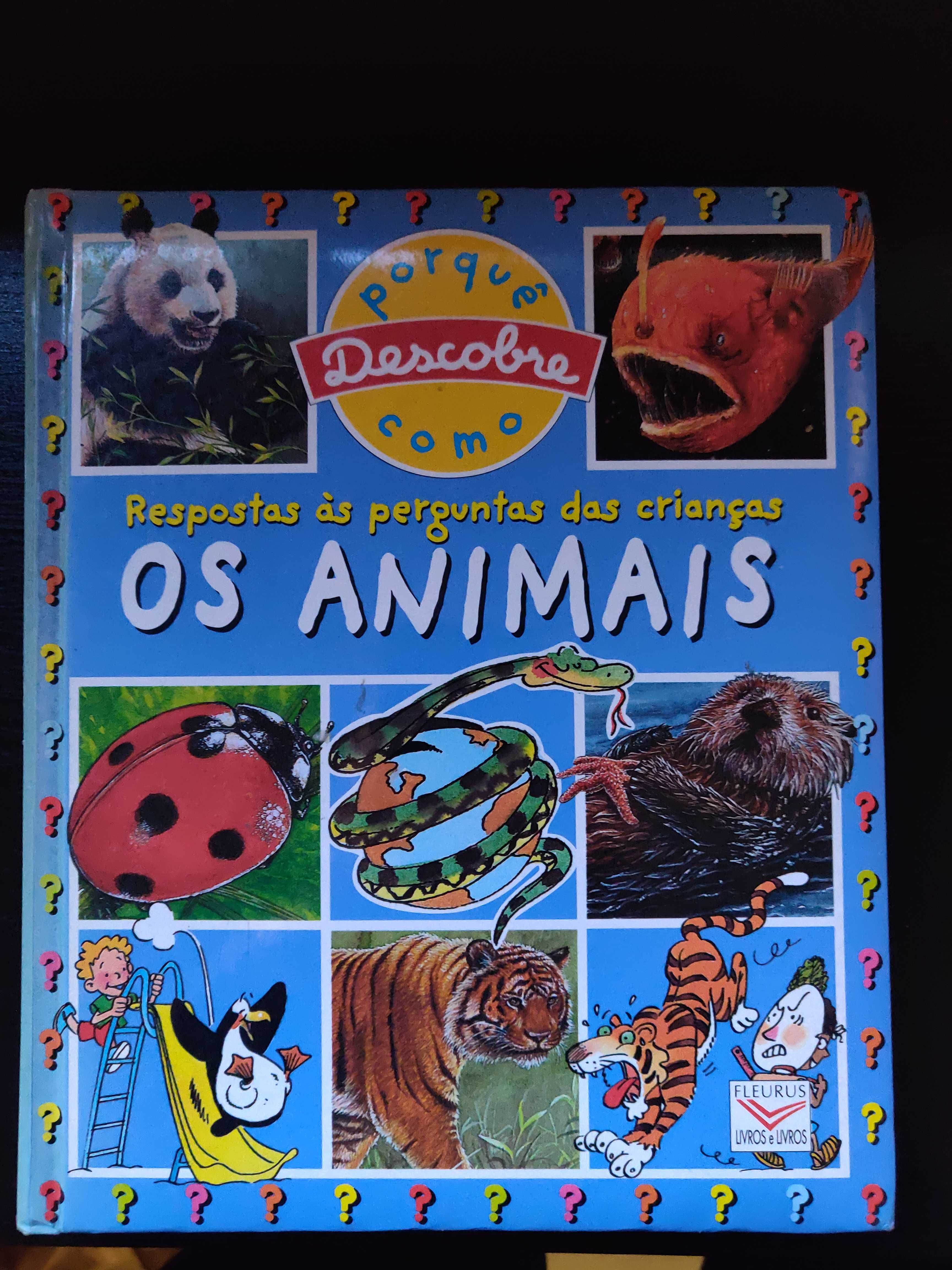 Lote de 4 livros infanto-juvenis