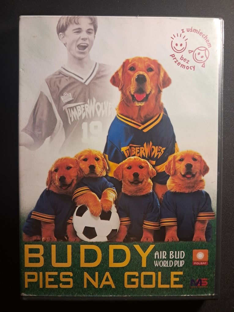 Buddy - Pies na gole | Kevin Zegers | DVD
