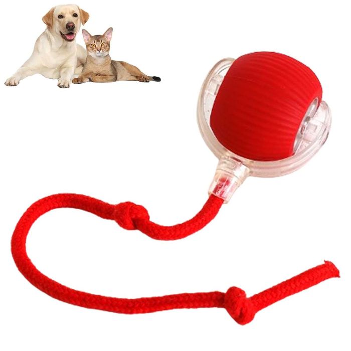 Bola  interativa para gatos e Cães modelagem automática ,360° rotating