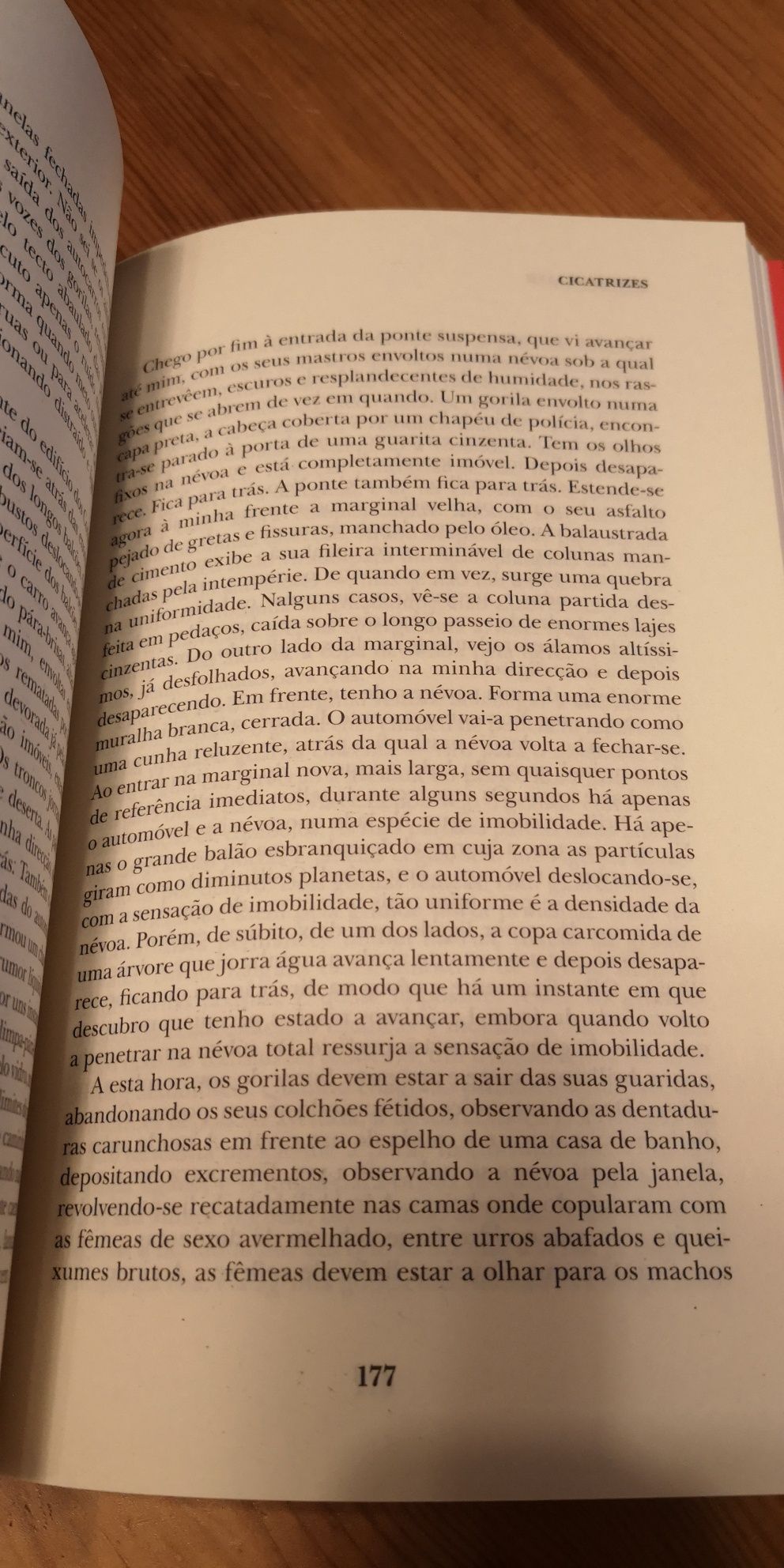 "Cicatrizes" de Juan José Saer, LIVRO NOVO