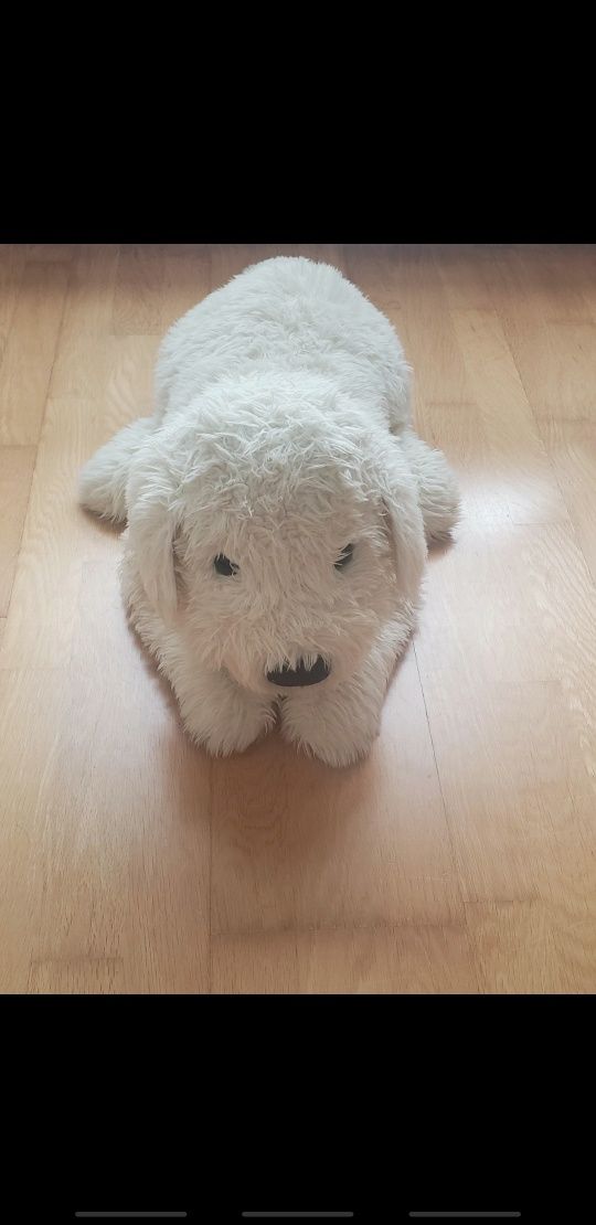 Cão de peluche (80 cm)