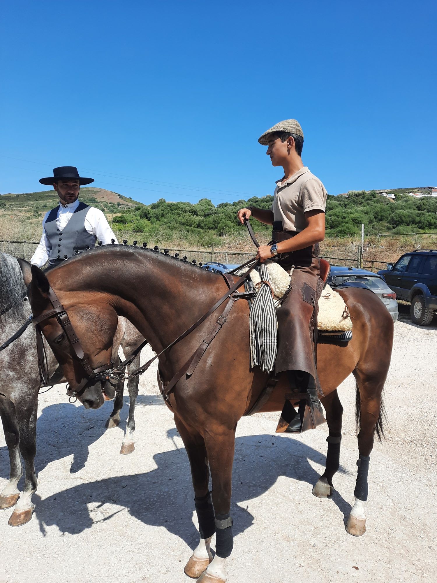 Vendo excelente cavalo