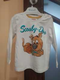 Bluzka koszulka bawełniana T-Shirt rozmiar 80 Scooby-Doo