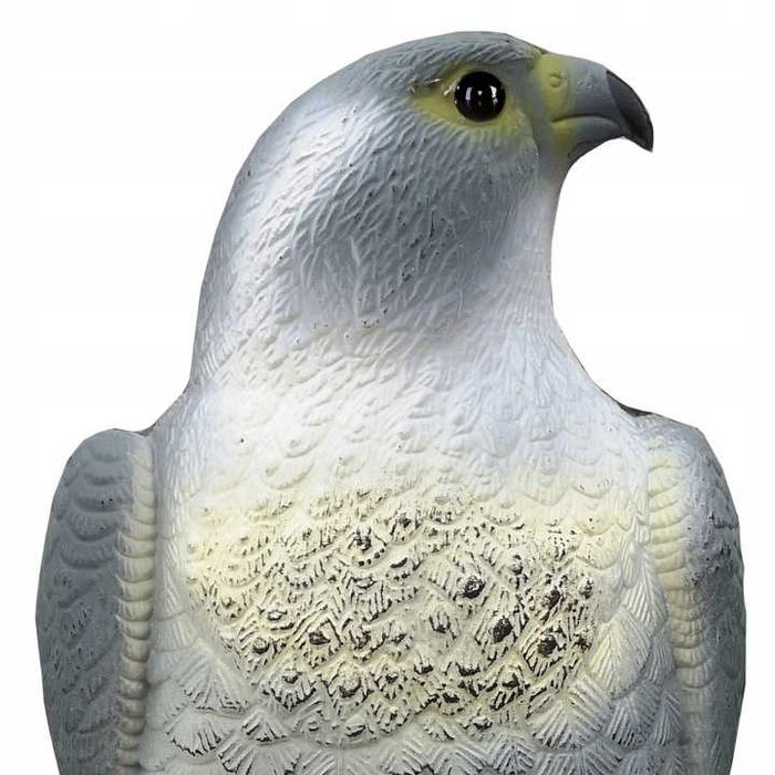 Duży odstraszacz ptaków gołebi szpaków sokół na skale błyszczące oczy