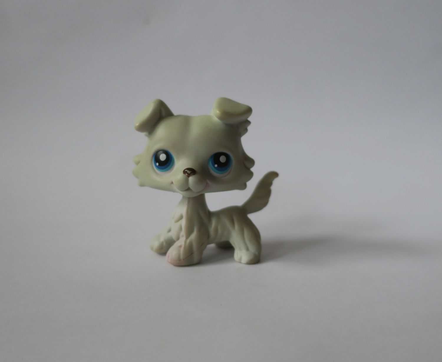 Piesek collie littlest pet shop