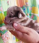 Детки ,которые полюбят вас больше, чем себя