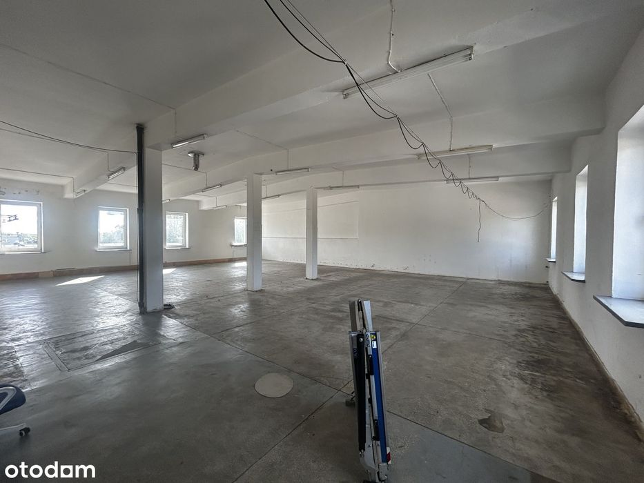 Magazyn do wynajęcia